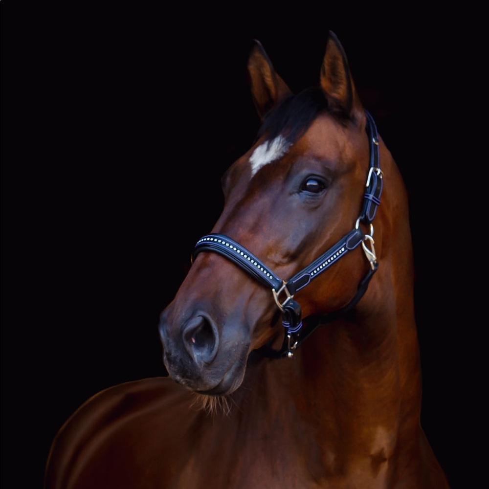 Meet your Posher, Jenni